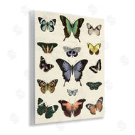 Susan Arnot | Varied Vintage Butterflies