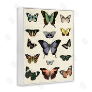 Susan Arnot | Varied Vintage Butterflies