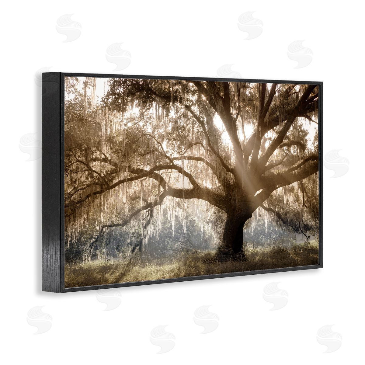 Sun Streak Through Tree Black Frame Print Wall Art, Home Decor by Danita Delimont