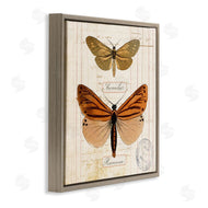 Susan Arnot | Butterfly Latin Studies