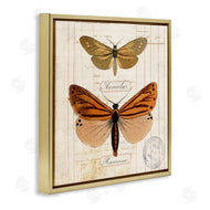 Susan Arnot | Butterfly Latin Studies