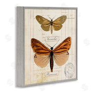 Susan Arnot | Butterfly Latin Studies