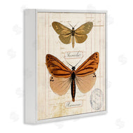 Susan Arnot | Butterfly Latin Studies