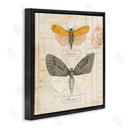 Susan Arnot | Yellow & Grey Butterflies