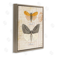 Susan Arnot | Yellow & Grey Butterflies