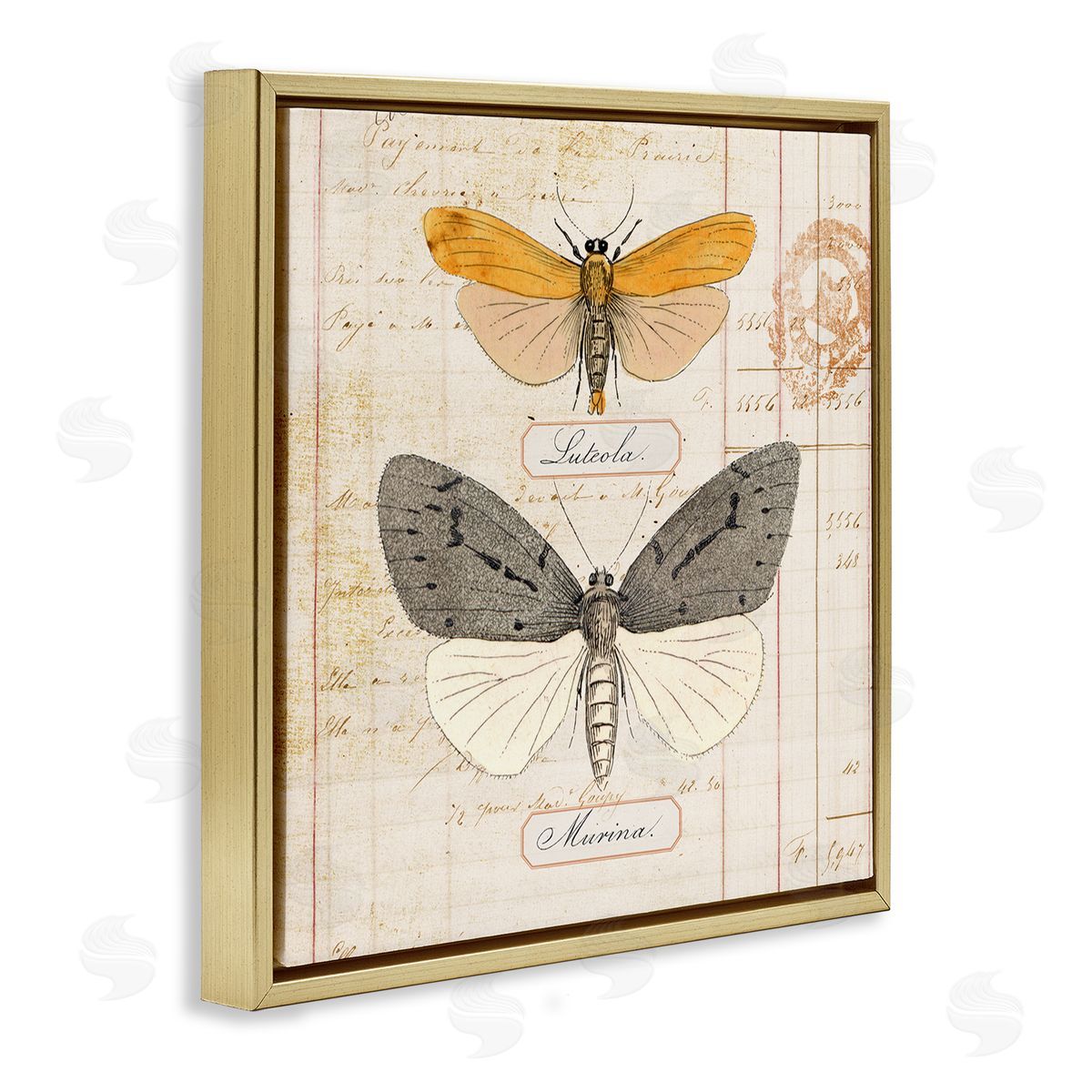 Yellow & Grey Butterflies Gold Floating Frame Canvas Wall Art, Home Decor by Susan Arnot