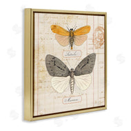 Susan Arnot | Yellow & Grey Butterflies