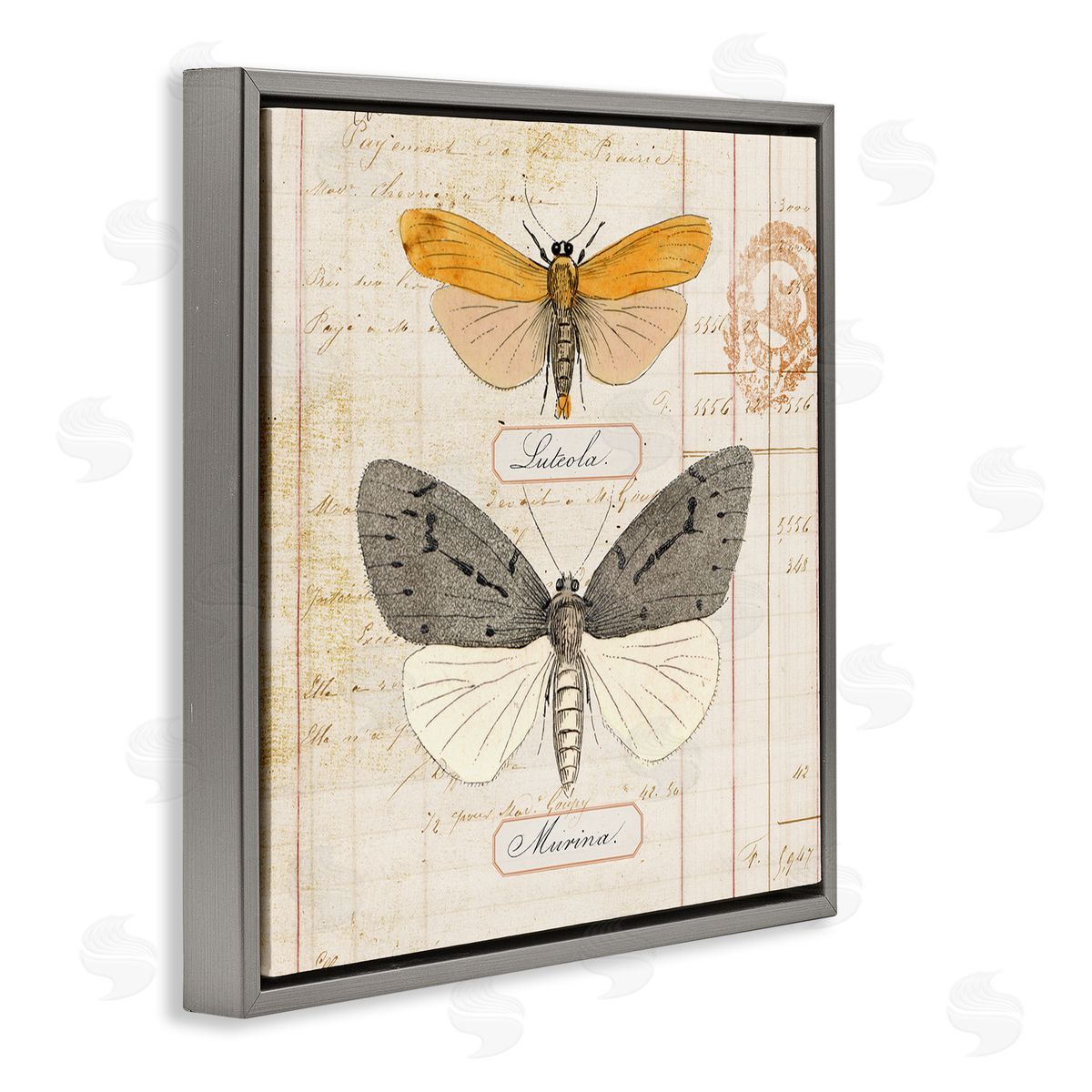 Yellow & Grey Butterflies Grey Floating Frame Canvas Wall Art, Home Decor by Susan Arnot