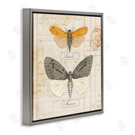 Susan Arnot | Yellow & Grey Butterflies