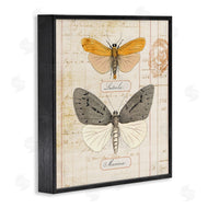 Susan Arnot | Yellow & Grey Butterflies