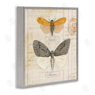 Susan Arnot | Yellow & Grey Butterflies