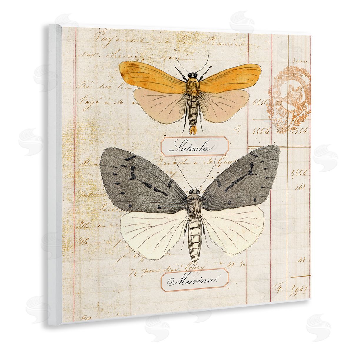 Yellow & Grey Butterflies Wood Plaque Wall Art, Home Decor by Susan Arnot