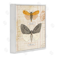 Susan Arnot | Yellow & Grey Butterflies