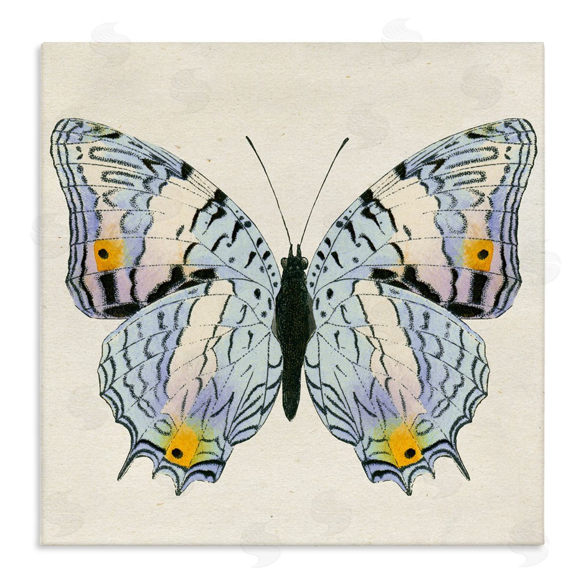 Butterfly with Yellow Details Canvas Wall Art, Home Decor by Susan Arnot