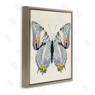 Susan Arnot | Butterfly with Yellow Details