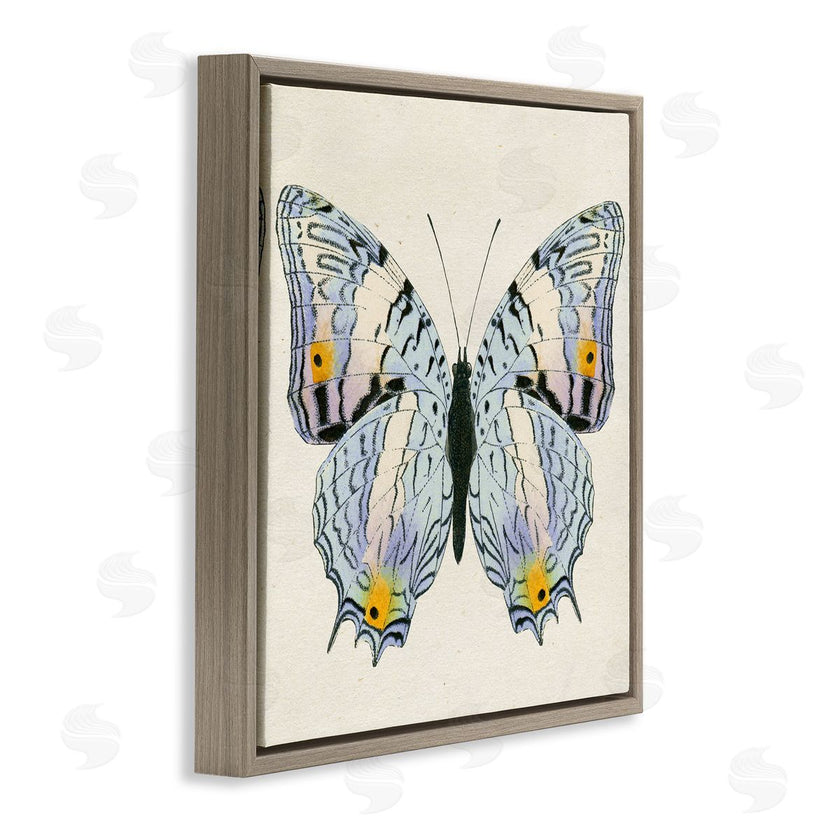 Susan Arnot | Butterfly with Yellow Details