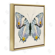 Susan Arnot | Butterfly with Yellow Details