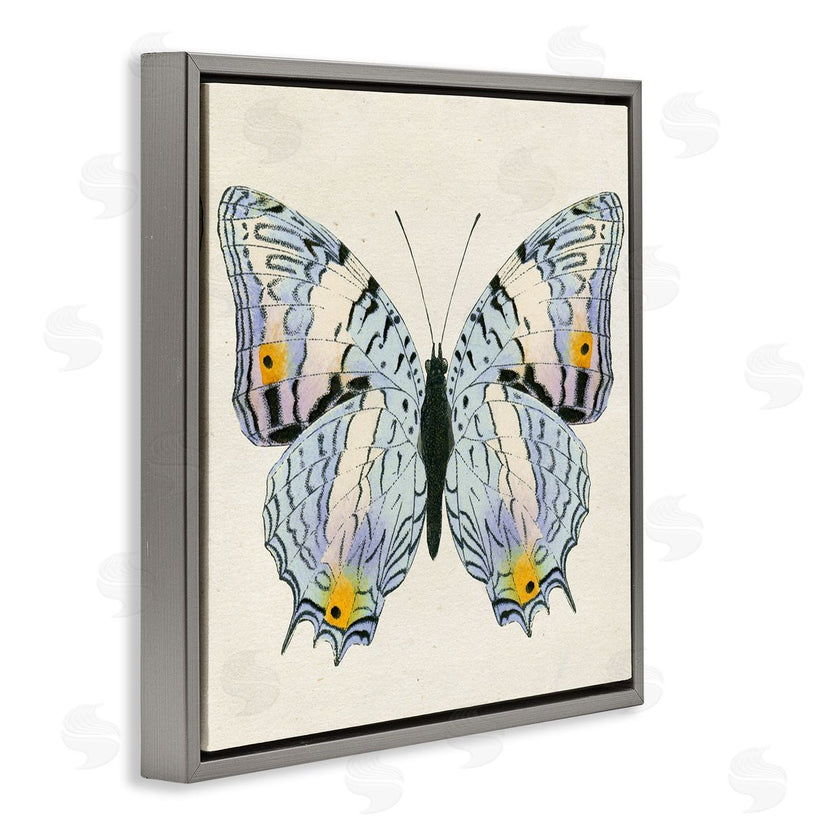 Susan Arnot | Butterfly with Yellow Details