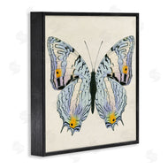 Susan Arnot | Butterfly with Yellow Details