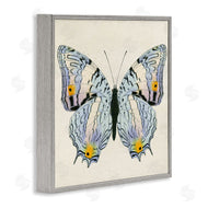 Susan Arnot | Butterfly with Yellow Details