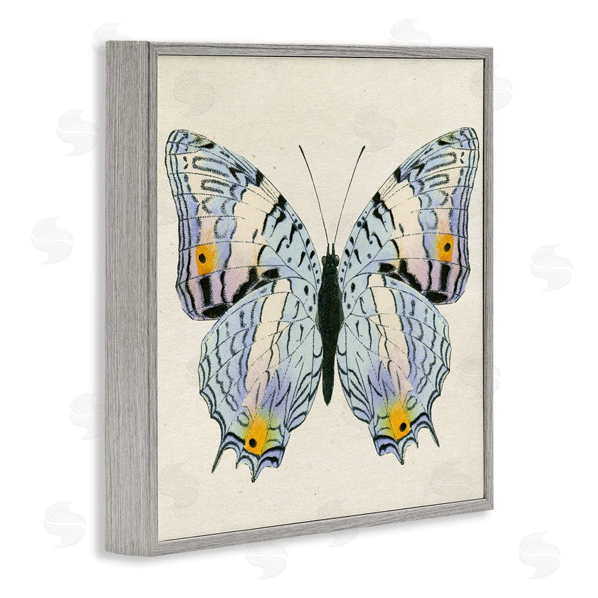 Susan Arnot | Butterfly with Yellow Details