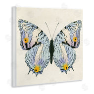Susan Arnot | Butterfly with Yellow Details