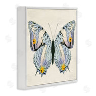 Susan Arnot | Butterfly with Yellow Details