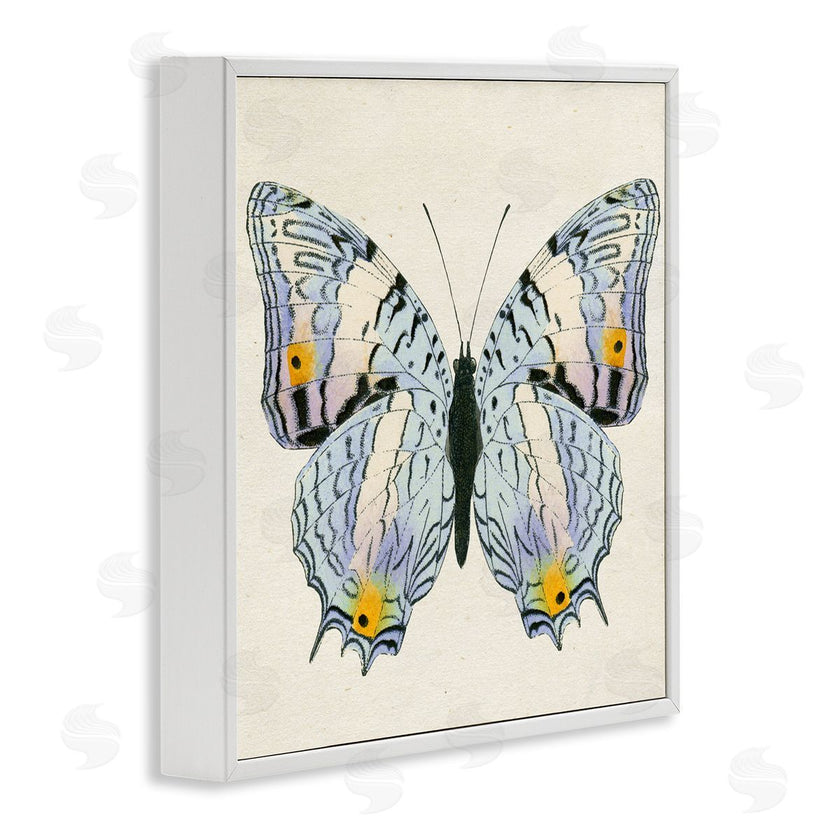 Susan Arnot | Butterfly with Yellow Details