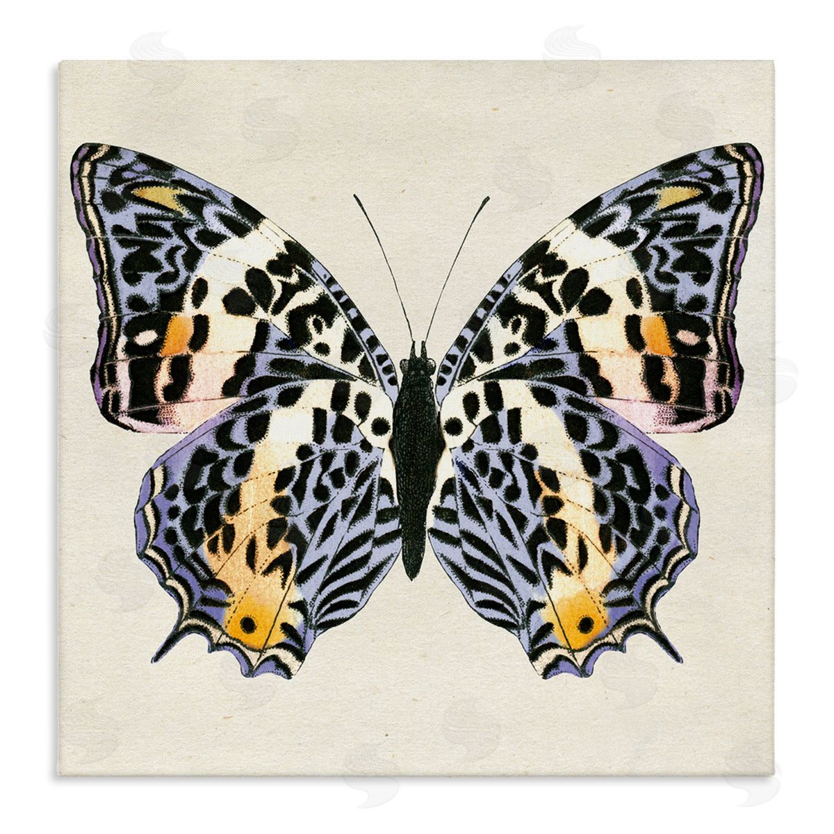 Speckled Butterfly Sketch Canvas Wall Art, Home Decor by Susan Arnot