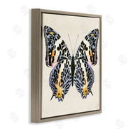 Susan Arnot | Speckled Butterfly Sketch