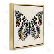 Susan Arnot | Speckled Butterfly Sketch