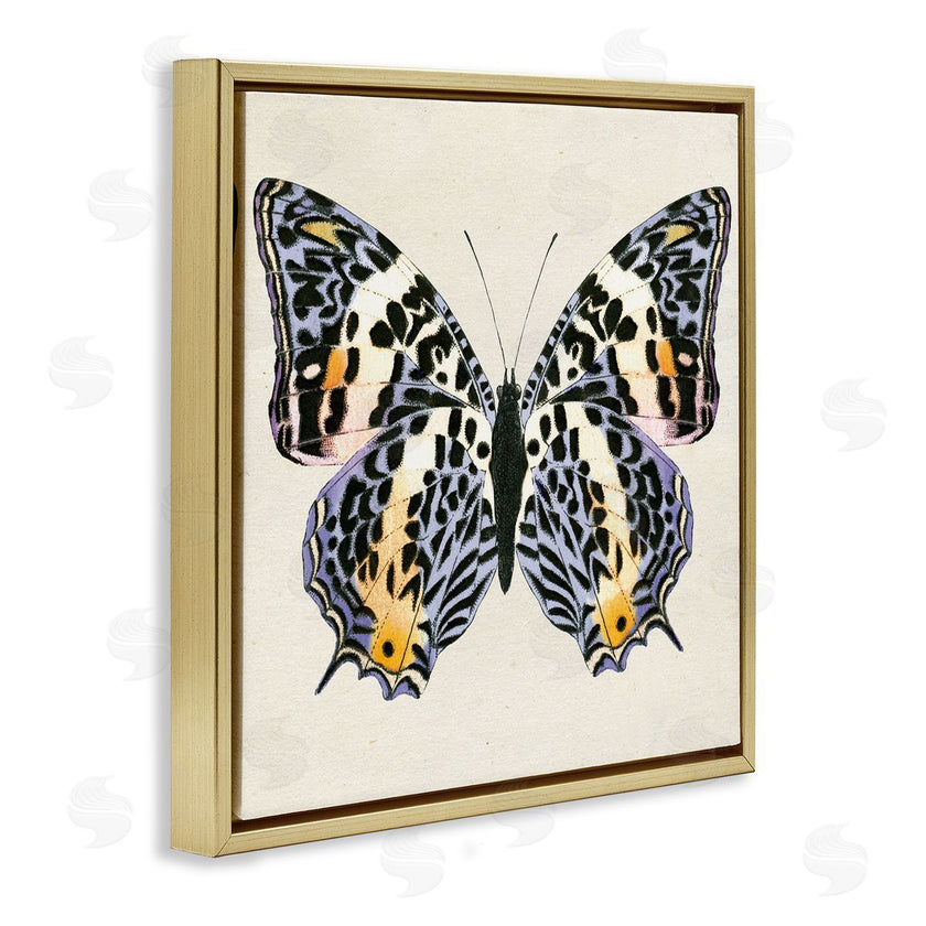 Susan Arnot | Speckled Butterfly Sketch