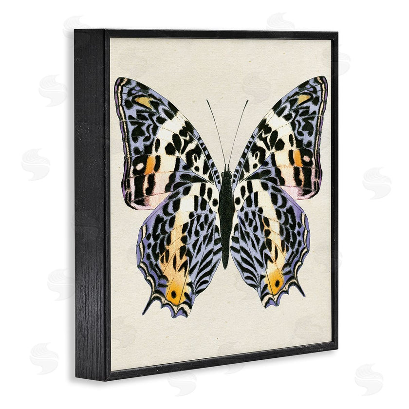 Susan Arnot | Speckled Butterfly Sketch