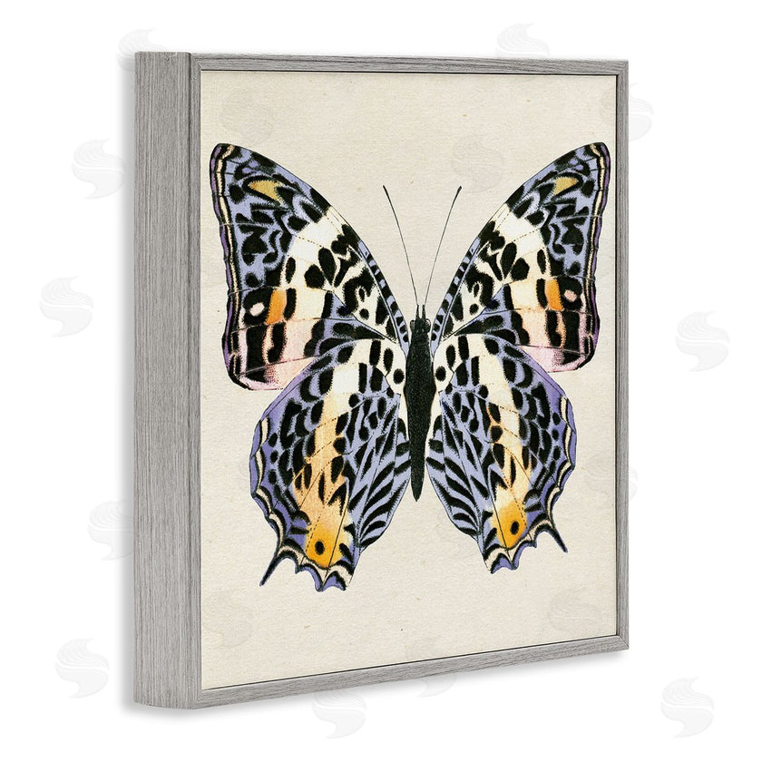 Susan Arnot | Speckled Butterfly Sketch