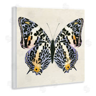 Susan Arnot | Speckled Butterfly Sketch