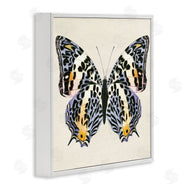 Susan Arnot | Speckled Butterfly Sketch