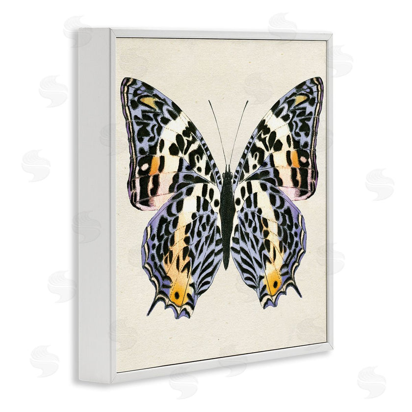 Susan Arnot | Speckled Butterfly Sketch