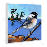 Adam Swanson | Swallow Bird Perched