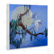 Floy Zittin | Shining Moon & Birds