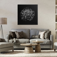 Brian Carson | Dark Carnation on Black