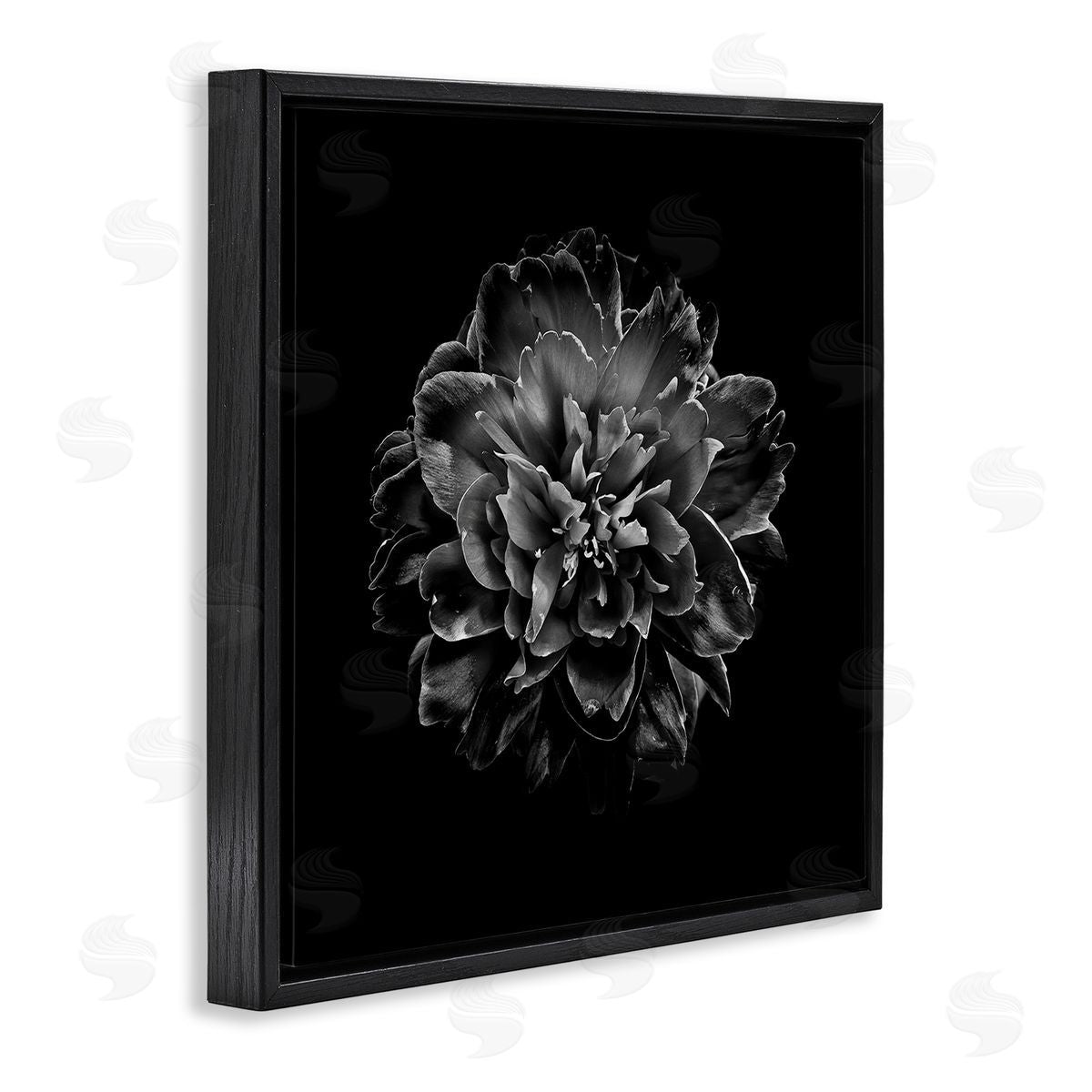 Dark Carnation on Black Black Floating Frame Canvas Wall Art, Home Decor by Brian Carson