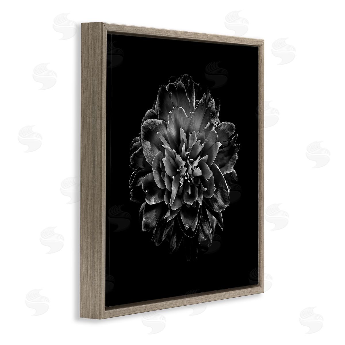 Dark Carnation on Black Brown Floating Frame Canvas Wall Art, Home Decor by Brian Carson