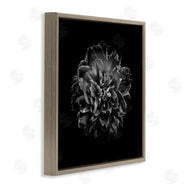 Brian Carson | Dark Carnation on Black
