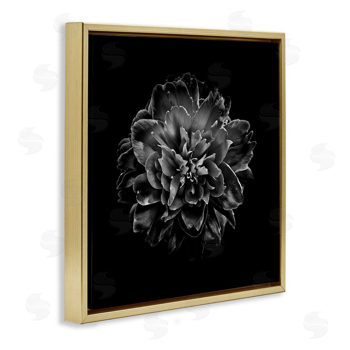Dark Carnation on Black Gold Floating Frame Canvas Wall Art, Home Decor by Brian Carson