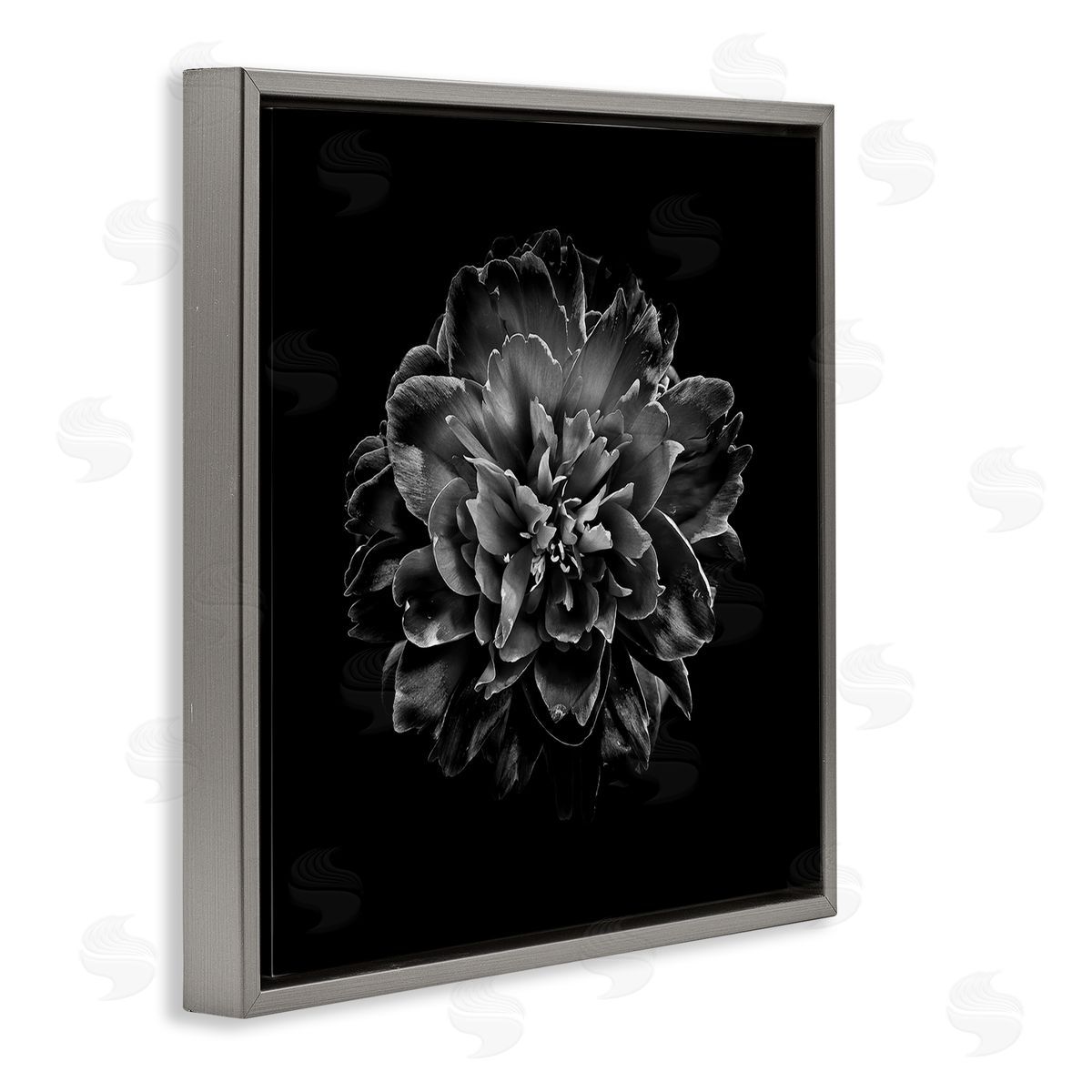 Dark Carnation on Black Grey Floating Frame Canvas Wall Art, Home Decor by Brian Carson