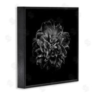 Brian Carson | Dark Carnation on Black