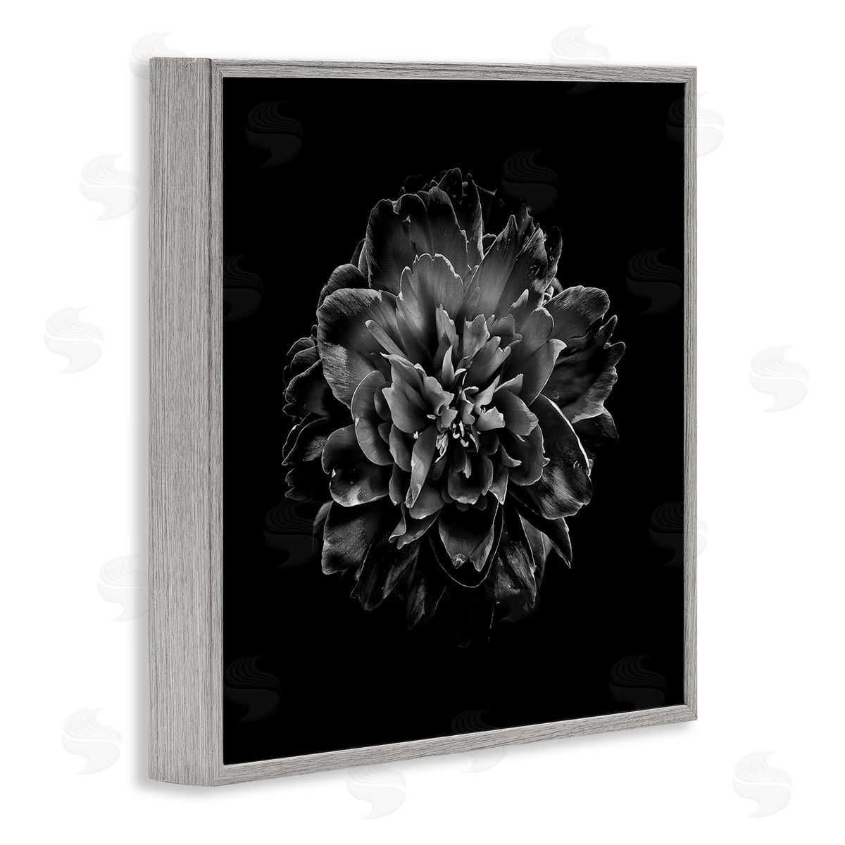 Dark Carnation on Black Grey Frame Print Wall Art, Home Decor by Brian Carson