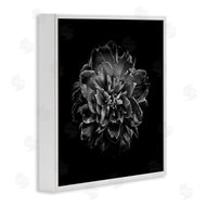 Brian Carson | Dark Carnation on Black
