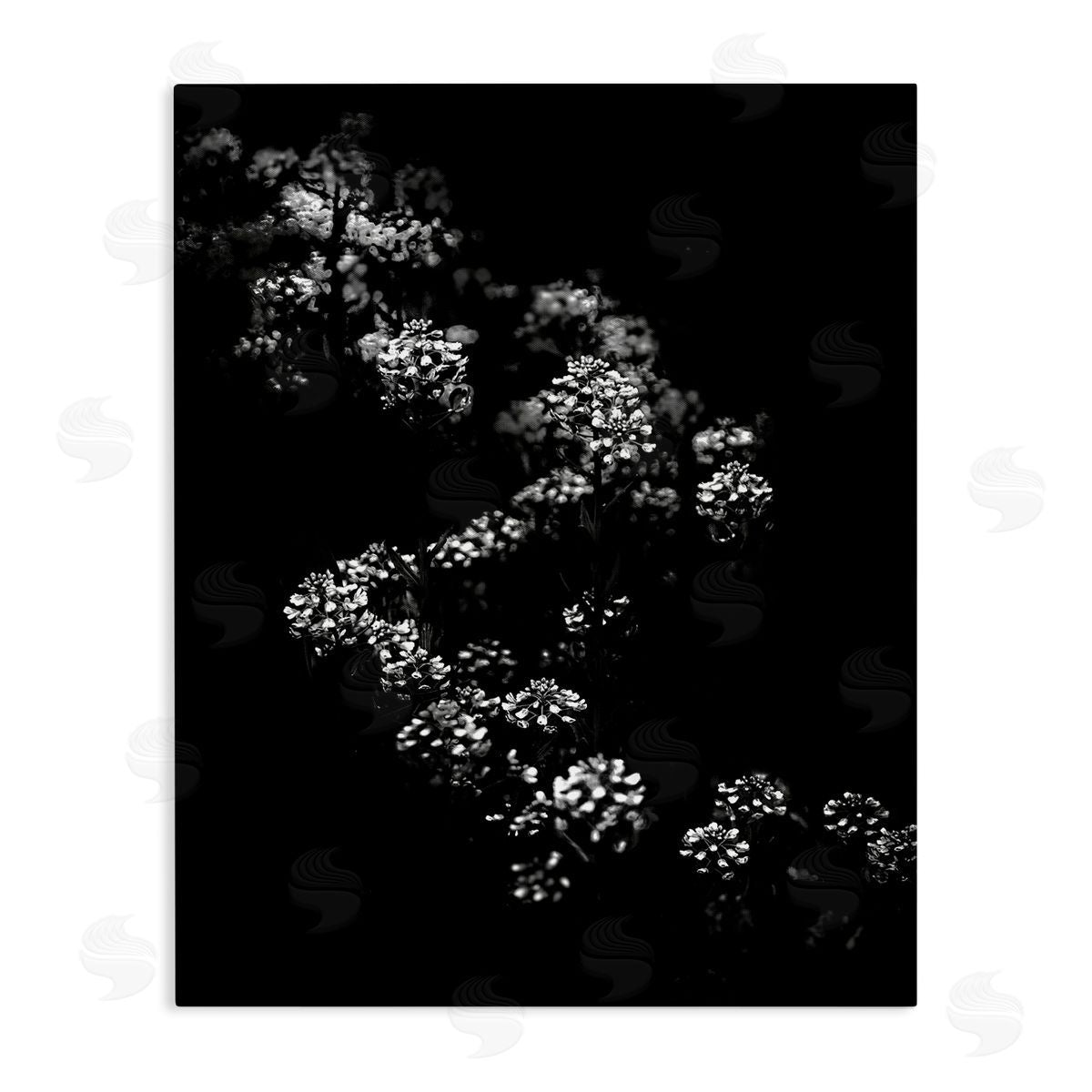 Curved Blossom Line Canvas Wall Art, Home Decor by Brian Carson
