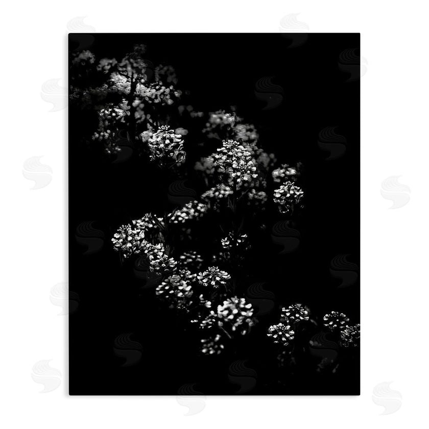 Brian Carson | Curved Blossom Line